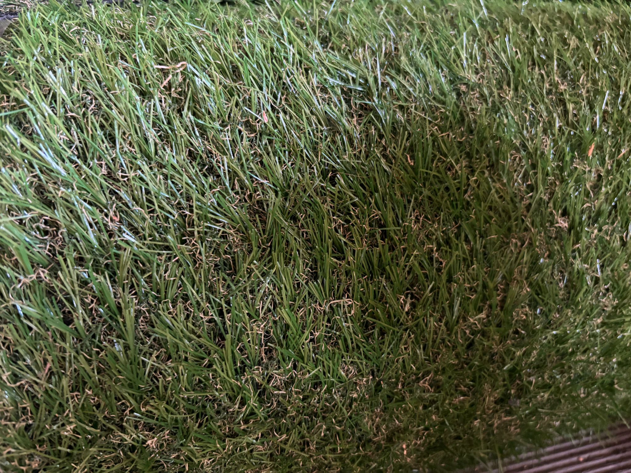 Neuer Kunstrasen - Lang