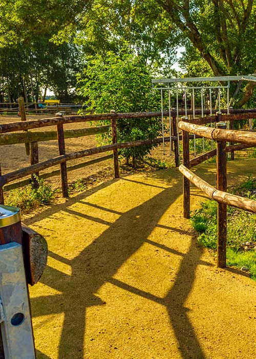 Kunstrasen im Roundpen