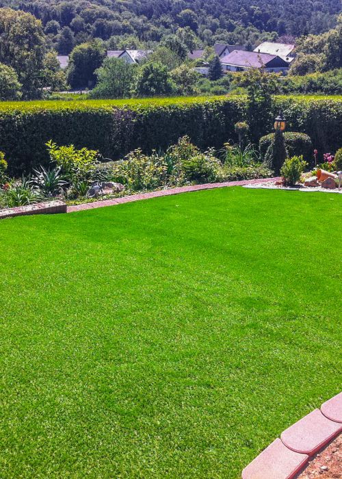 Pflanzlicher Garten mit Kunstrasen