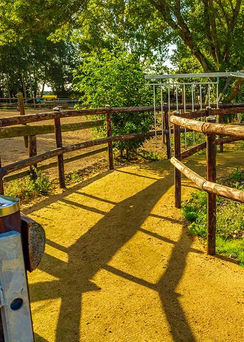 Kunstrasen im Roundpen