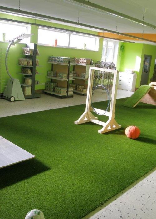 Hunde Agility Trainingshalle