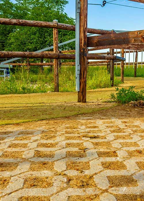 Kunstrasen im Roundpen