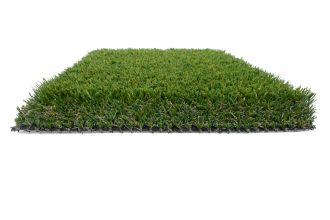 Neuer Kunstrasen - Olive Lang