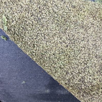 Leicht veralteter Hockeykunstrasen