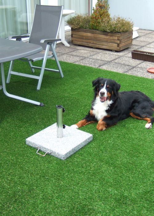 Hund liegt auf Kunstrasen im Garten