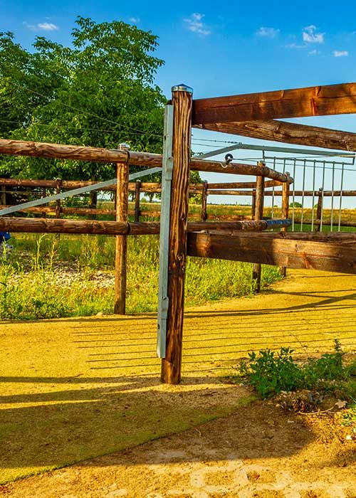Kunstrasen im Roundpen