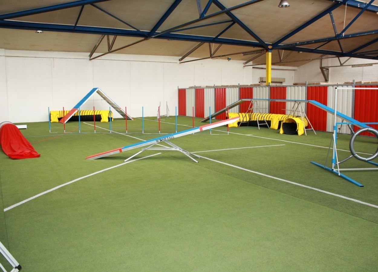 Hunde Agility Trainingshalle